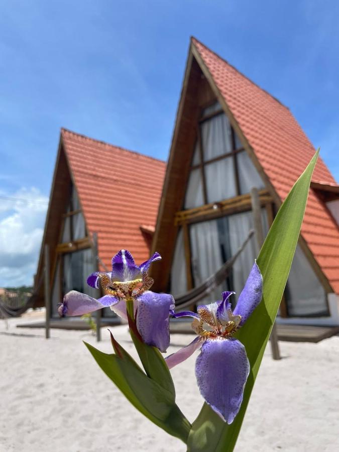 Vila Pahu - Caraiva Bagian luar foto